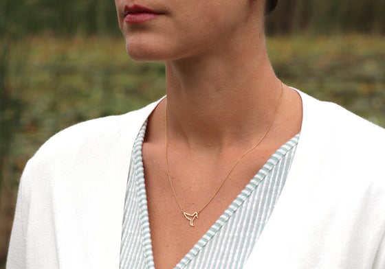 The traced  hummingbird 