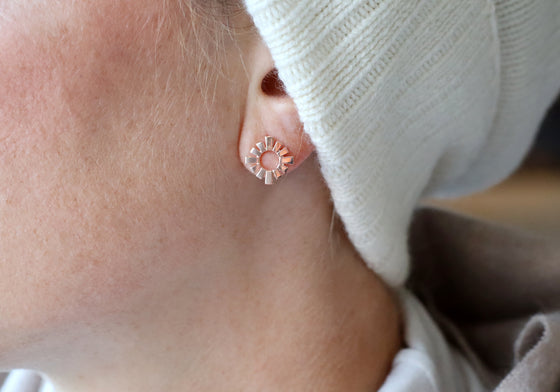 Winter sun (Stg925)