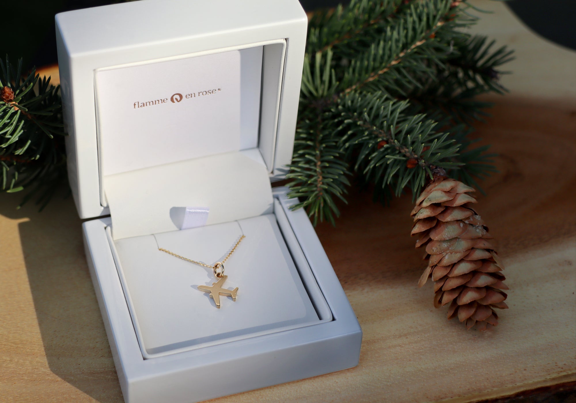 Leaving on a jetplane - Main Image