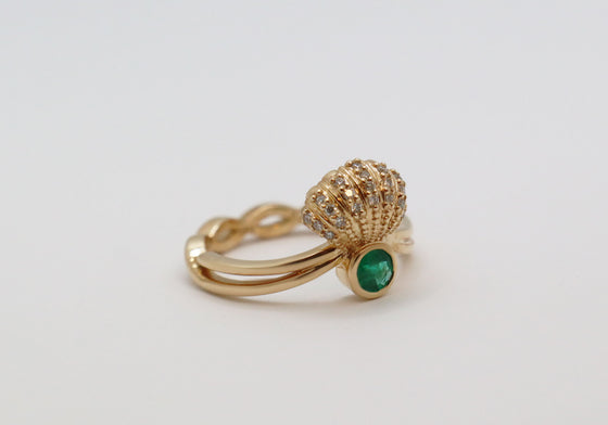 Shell ring on the Way of St. James