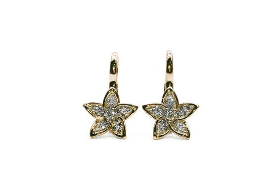 Star light, star bright