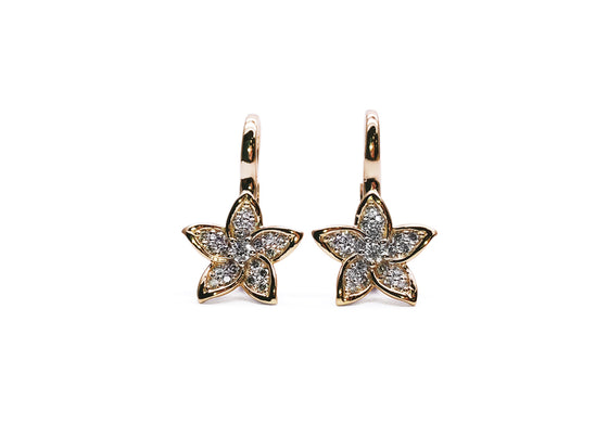 Star light, star bright