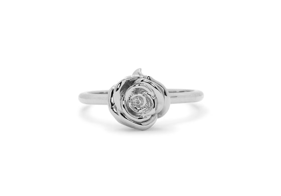 The rose (Stg925)