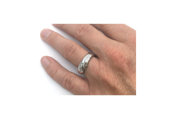 The trailblazer (Stg925)