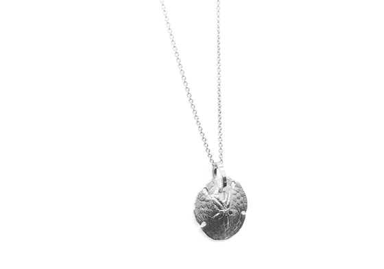 Sand dollar (Stg925)