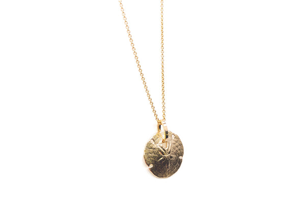 Sand dollar