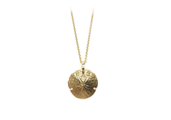 Sand dollar