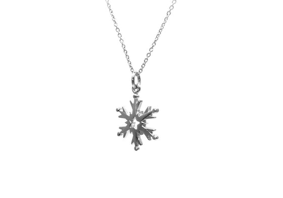 Snowstorm (Stg925)