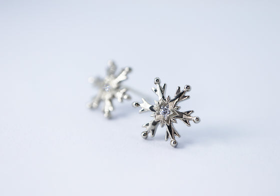 First sparkling snow